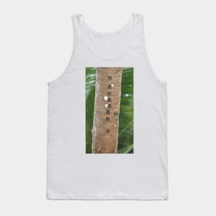 White-lined Bats Tank Top